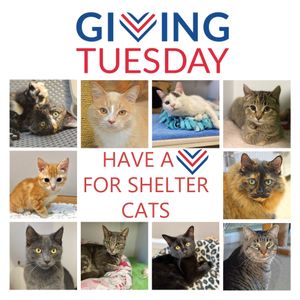 Giving Tuesday 2021