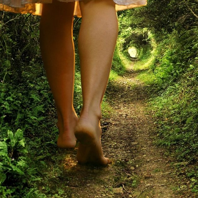 Ten Ways to Ground Yourself in Nature — TreeSisters