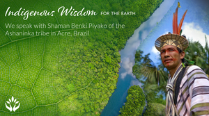 Shaman Benki Piyako ~ Indigenous Wisdom for the Earth