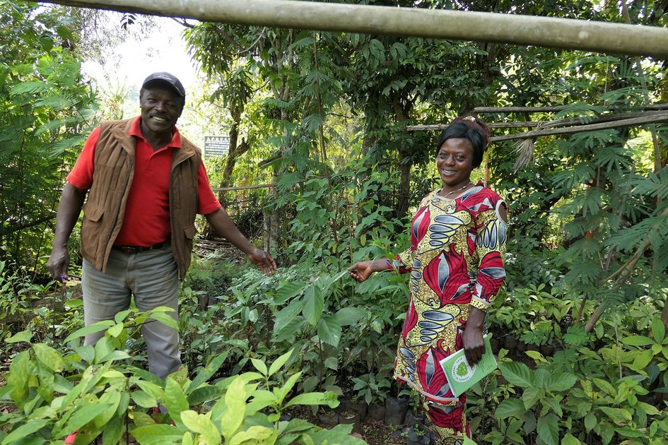 Cameroon Trees, Water and Endangered Wildlife — TreeSisters