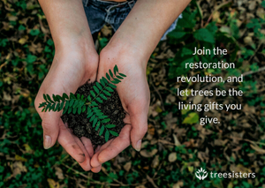 Join the Reforestation Revolution