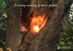 In Loving Memory - Memorial