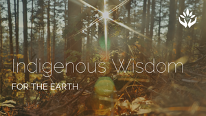 In Conversation with Helene Lindmark ~ Indigenous Wisdom for the Earth