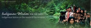 Saving the Amazon