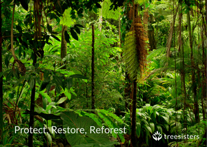 Protect, Restore, Reforest