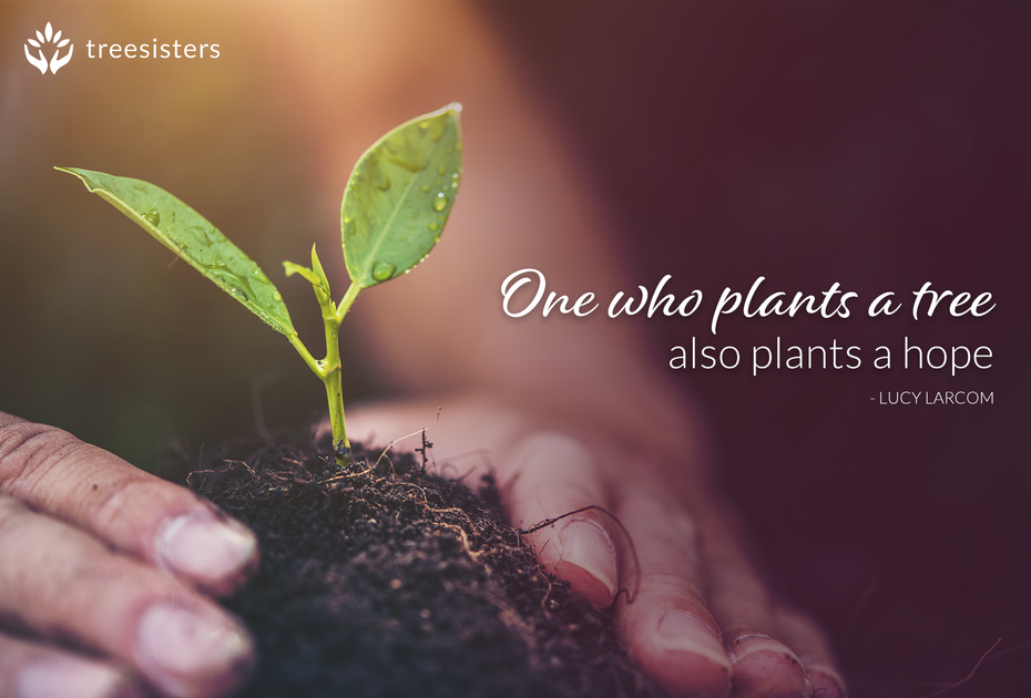 One Who Plants a Tree — TreeSisters