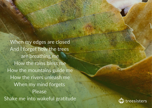 Wakeful Gratitude