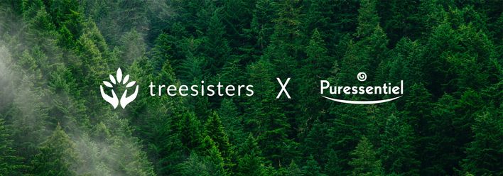Welcome to the Puressentiel Forest