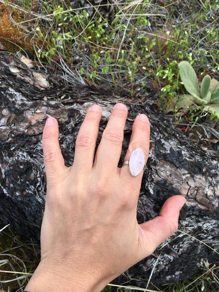 mamaearth membership fee