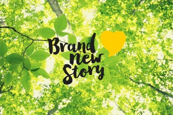 Brand New Story Forest