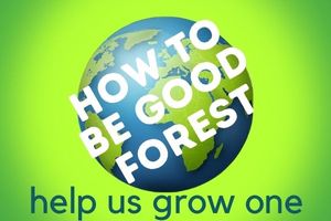 How To Be Good Forest