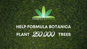 The Formula Botanica Forest