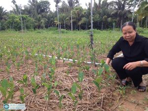 Community Development - Phát Triển Cộng Đồng