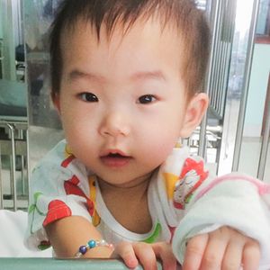 Pro-life Program- Bảo Vệ Sự Sống