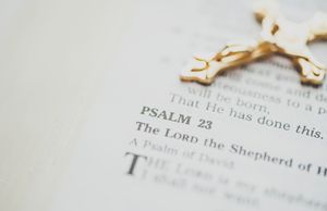 Seminarian Appeal