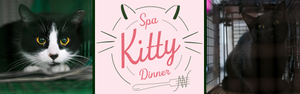 2026 SpaKitty Dinner Donations