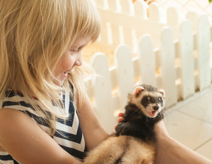Adoptable Exotic and Small Mammal Room