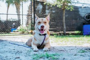 2026 Giving Circles Luncheon