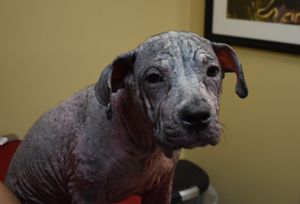 Giving Tuesday