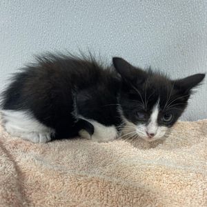 Double Your Donation