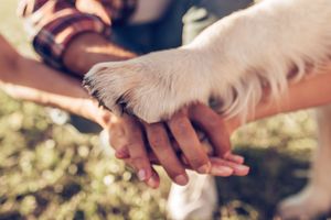 Family Volunteer Days