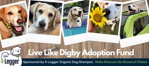 Live Like Digby Adoption Fund Donation