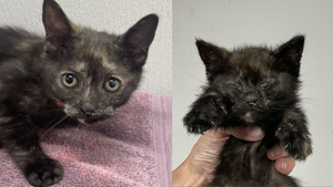 Double Your Donation