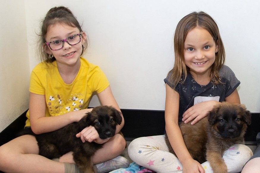 No School Days — Humane Society of Tampa Bay