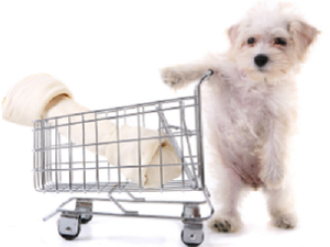 *RESERVED* Pet Retail Store