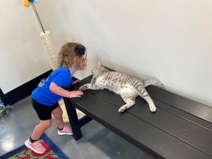 Pets & Tots
