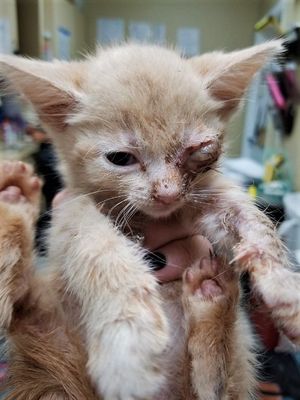 Your donation will be matched!