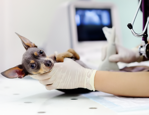 *RESERVED* X-Ray Machine
