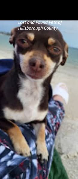 donna qualls' Fundraiser