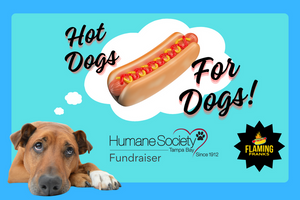 Hot Dogs for Dogs
