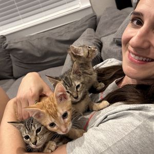 Jess's 40th Birthday Donation Drive in memory of Rowan