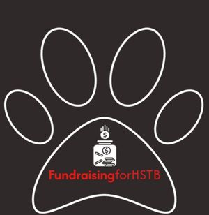 Fundraising for HSTB for my school project