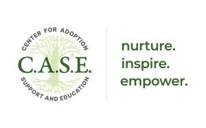 Adoption Competency: State of Practice - A Quarter Century Reflection to Shape the Path Forward