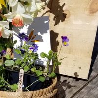 Gifts to Grow On