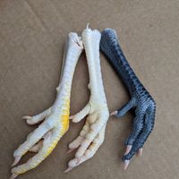 Chicken feet