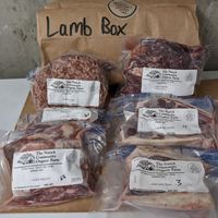 Lamb Box