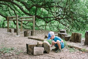 July 26-30: Survival of the Fittest