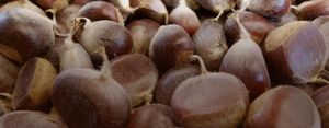 These Nuts are Worth It