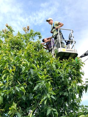 Meadowview Research Farms