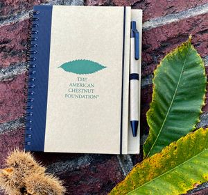 Journal
