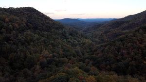 Clear Day Thunder: Rescuing the American Chestnut