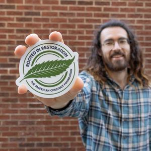Rooted in Restoration Sticker