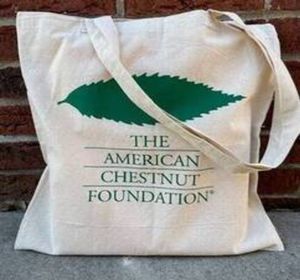 TACF Logo Tote Bag