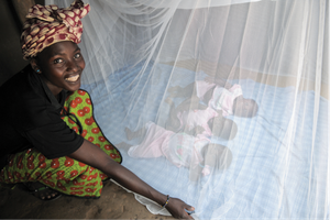 Mosquito Nets<br/><p>$40</p>