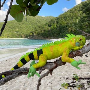 Iguana Plush Toy