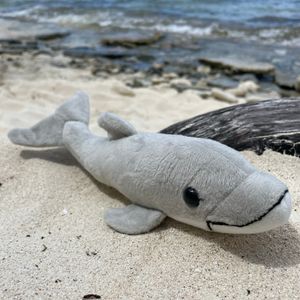 Small Dolphin Plush Toy